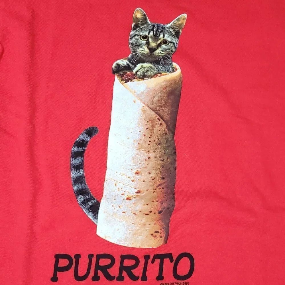 🔺️FSD Red Cat "Purrito" Short Sleeve Top Small - Picture 5 of 7